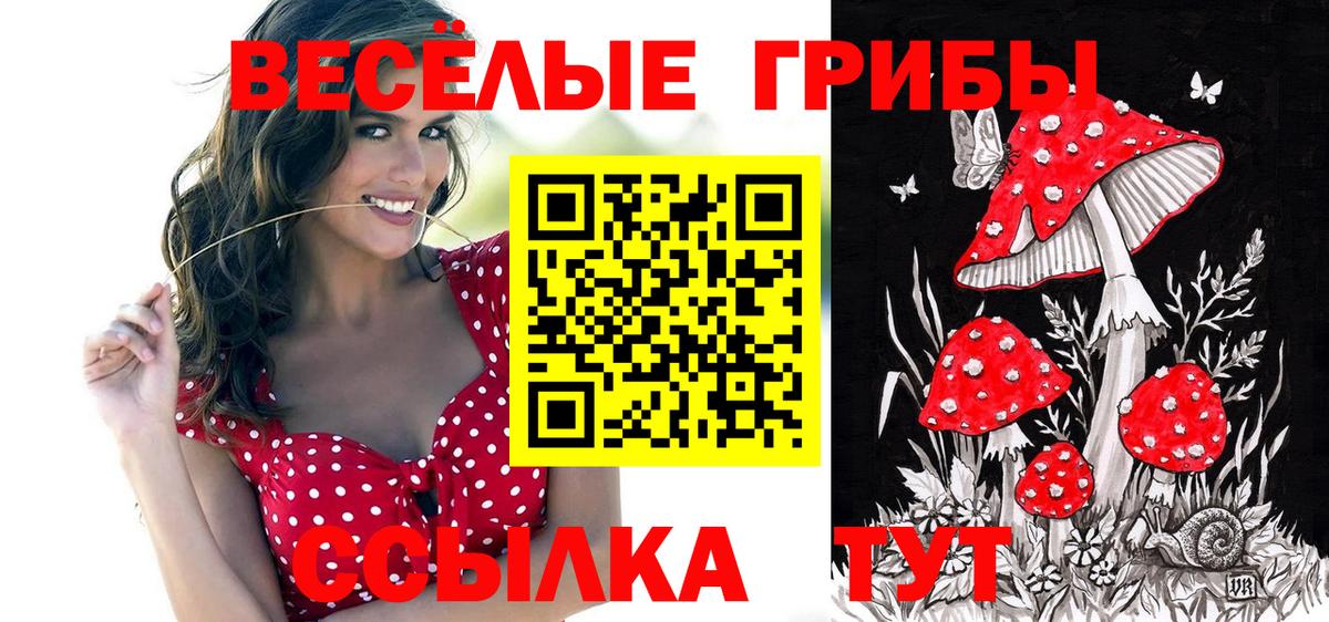 Галлюциногенные грибы мицелий  Вход с VPN  Ачхой-Мартан 