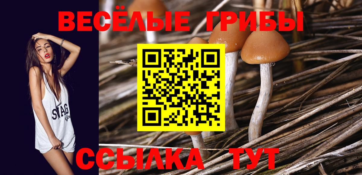 A-PVP Ачхой-Мартан