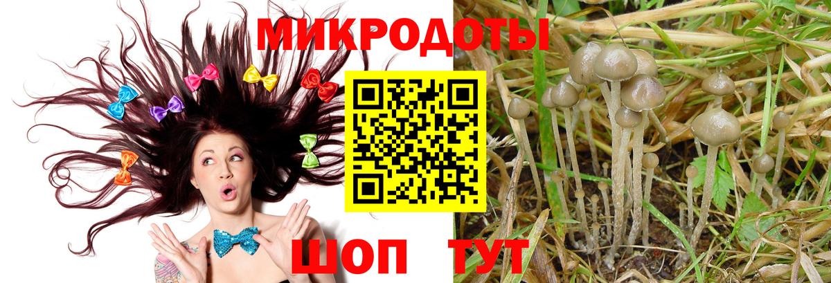 Псилоцибиновые грибы Magic Shrooms Ачхой-Мартан